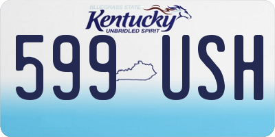 KY license plate 599USH
