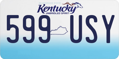 KY license plate 599USY