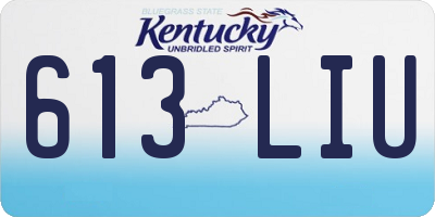 KY license plate 613LIU