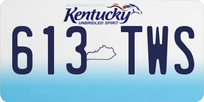 KY license plate 613TWS