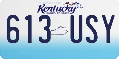 KY license plate 613USY