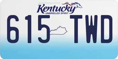 KY license plate 615TWD
