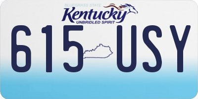KY license plate 615USY