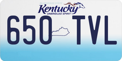 KY license plate 650TVL