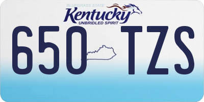 KY license plate 650TZS