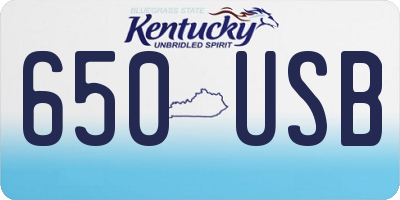 KY license plate 650USB