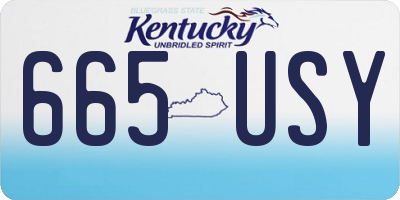 KY license plate 665USY