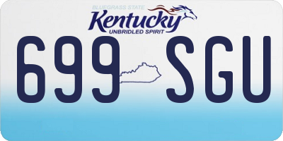 KY license plate 699SGU