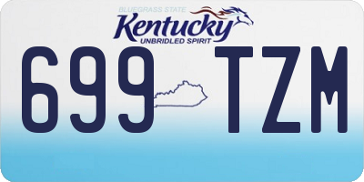 KY license plate 699TZM