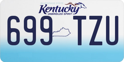 KY license plate 699TZU