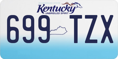 KY license plate 699TZX
