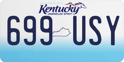 KY license plate 699USY