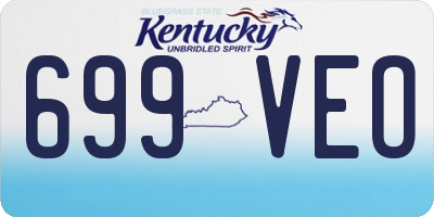 KY license plate 699VEO