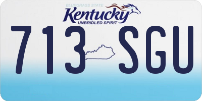KY license plate 713SGU