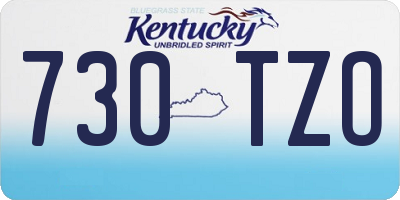 KY license plate 730TZO