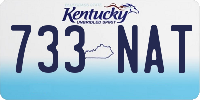 KY license plate 733NAT