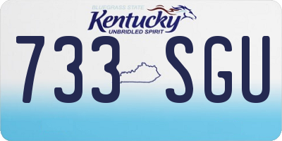 KY license plate 733SGU