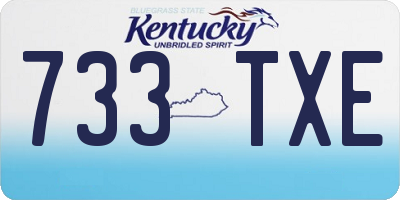 KY license plate 733TXE