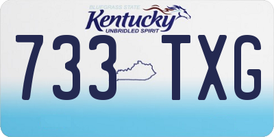 KY license plate 733TXG