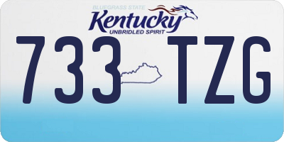 KY license plate 733TZG