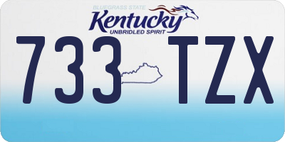 KY license plate 733TZX