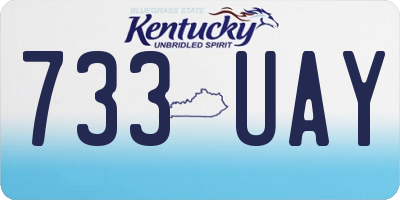 KY license plate 733UAY