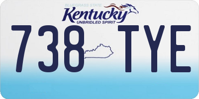KY license plate 738TYE