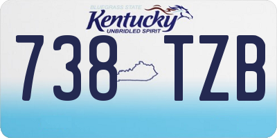 KY license plate 738TZB