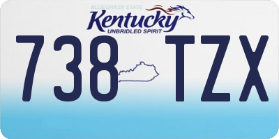 KY license plate 738TZX