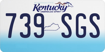 KY license plate 739SGS