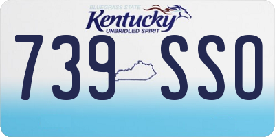 KY license plate 739SSO