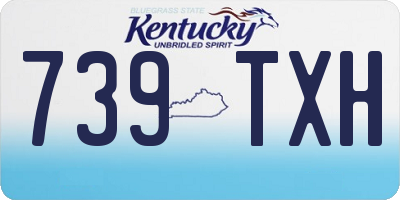 KY license plate 739TXH