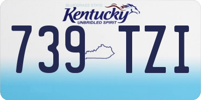 KY license plate 739TZI