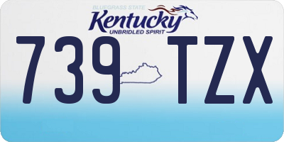 KY license plate 739TZX