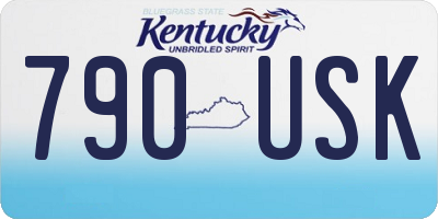 KY license plate 790USK