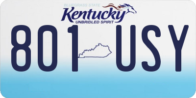 KY license plate 801USY