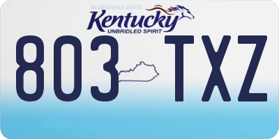 KY license plate 803TXZ