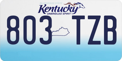 KY license plate 803TZB