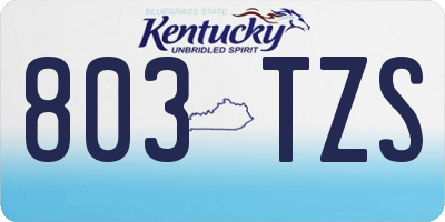 KY license plate 803TZS