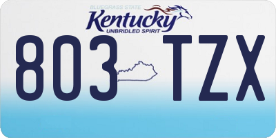 KY license plate 803TZX