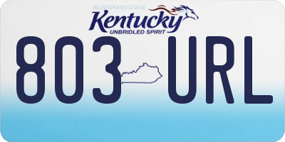 KY license plate 803URL