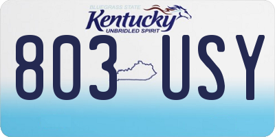 KY license plate 803USY