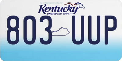 KY license plate 803UUP