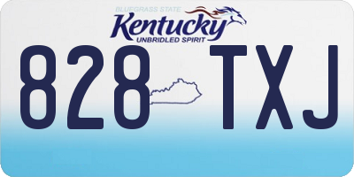 KY license plate 828TXJ