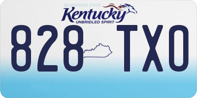 KY license plate 828TXO