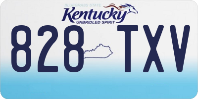 KY license plate 828TXV