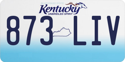 KY license plate 873LIV