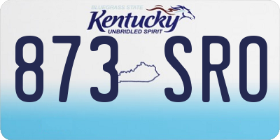 KY license plate 873SRO