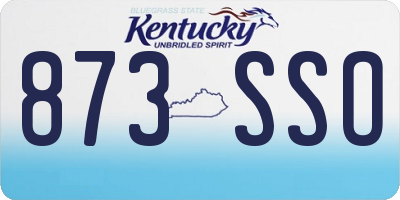 KY license plate 873SSO