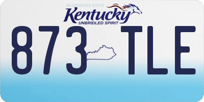 KY license plate 873TLE